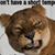 Melissa Womack Killam's profile image
