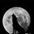 Barry C Roberts's profile image