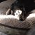 Paula Ledford's profile image