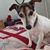 Judy Heck's profile image