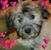 Debbie Brink's profile image