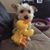 Diane Thompson Beck's profile image
