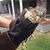 Rena Shipman's profile image