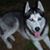 Colleen Mitchell Bailey's profile image