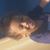 Shellee Dawson's profile image