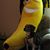 Barbara J. Wood's profile image