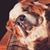 Laura Luther's profile image