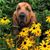Bridget Goede's profile image
