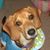 June Howell's profile image