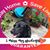 Tauni Graham's profile image