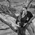 Elizabeth Itin's profile image