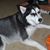 Dawn Gross-Waldecker's profile image