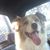 Kelli VanLoenen's profile image