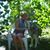 Charlene Stein's profile image
