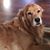 Lois Lucas's profile image