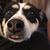 Christopher Scott Williford's profile image