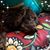 Tina-Marie Blakley's profile image