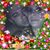 Carin Cordeiro Gonçalves's profile image