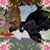 Diane Frey's profile image