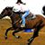 Tammy Bishop-Sparks's profile image
