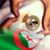 Farid Dey's profile image