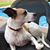 Barbara Cotton's profile image