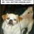 Shirley Sigley's profile image