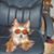 Jeanne King's profile image