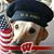 Sharon Stair's profile image