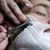 Platinum Cutz Barber Shop's profile image