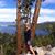 Tami King's profile image