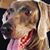 Macie Vinson's profile image