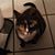Cecilia Kuzmic's profile image
