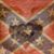 Amanda N Chris Rankin's profile image