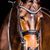 Gilda Amster's profile image