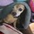 Kris Perone's profile image