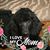 Joyce Howard's profile image
