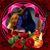 Tina Daughtry Anderson's profile image