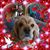 Patricia Brayen's profile image