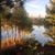 Loralee Popehn's profile image