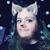 Matthew Lentz's profile image