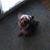 Patricia Colfer's profile image