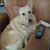 Lora Avalos's profile image