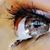 Sharon Palmer Tucker's profile image