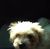 Sheryl Sivavec's profile image