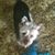 Jo Wachtel's profile image