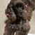 Ginny Walther's profile image