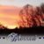 Carol Dymond's profile image