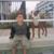 Vinny Monteleone's profile image