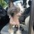 Jessica Wallace Ncmg's profile image